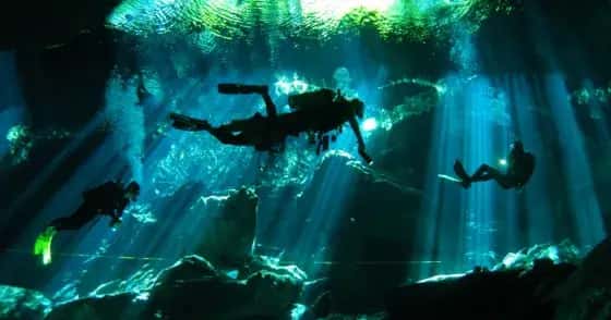 Scuba Libre — photo 3