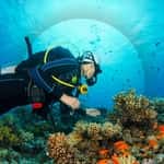 Scuba San Diego
