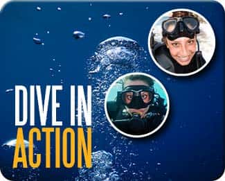 Dive In Action