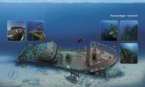 Scuba Sur Diving Gran Canaria — photo 2