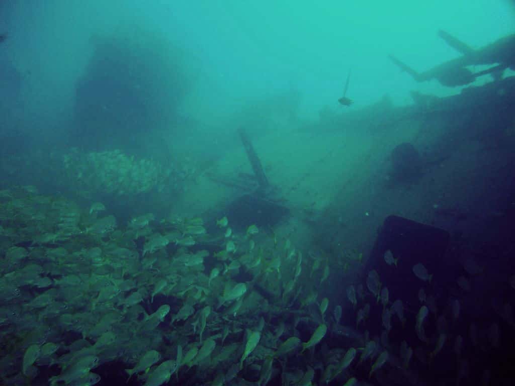 Scuba Sur Diving Gran Canaria