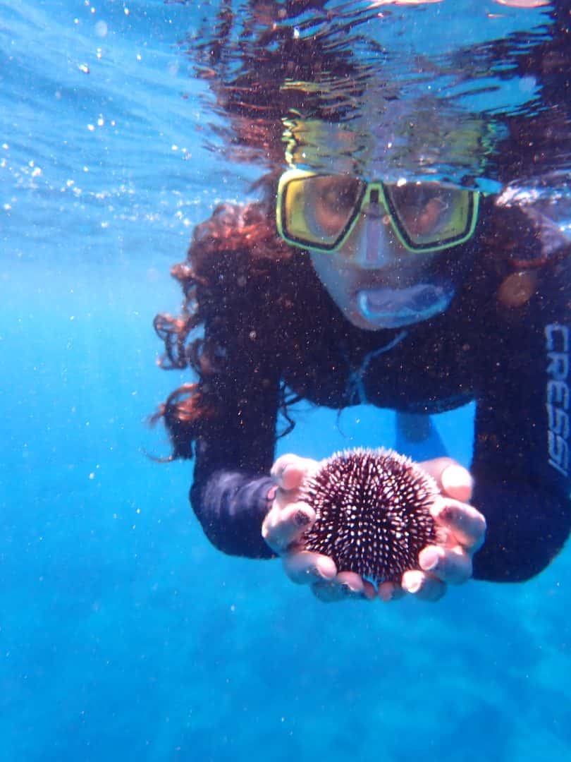 Sea Dream Diving