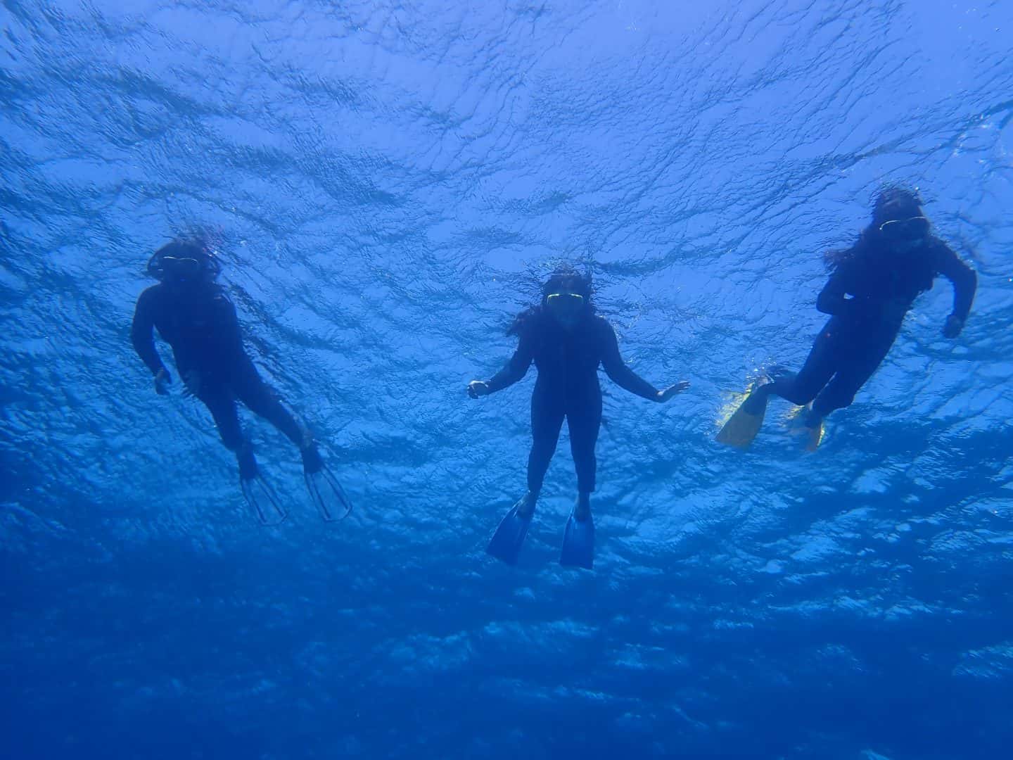 Sea Dream Diving — photo 2