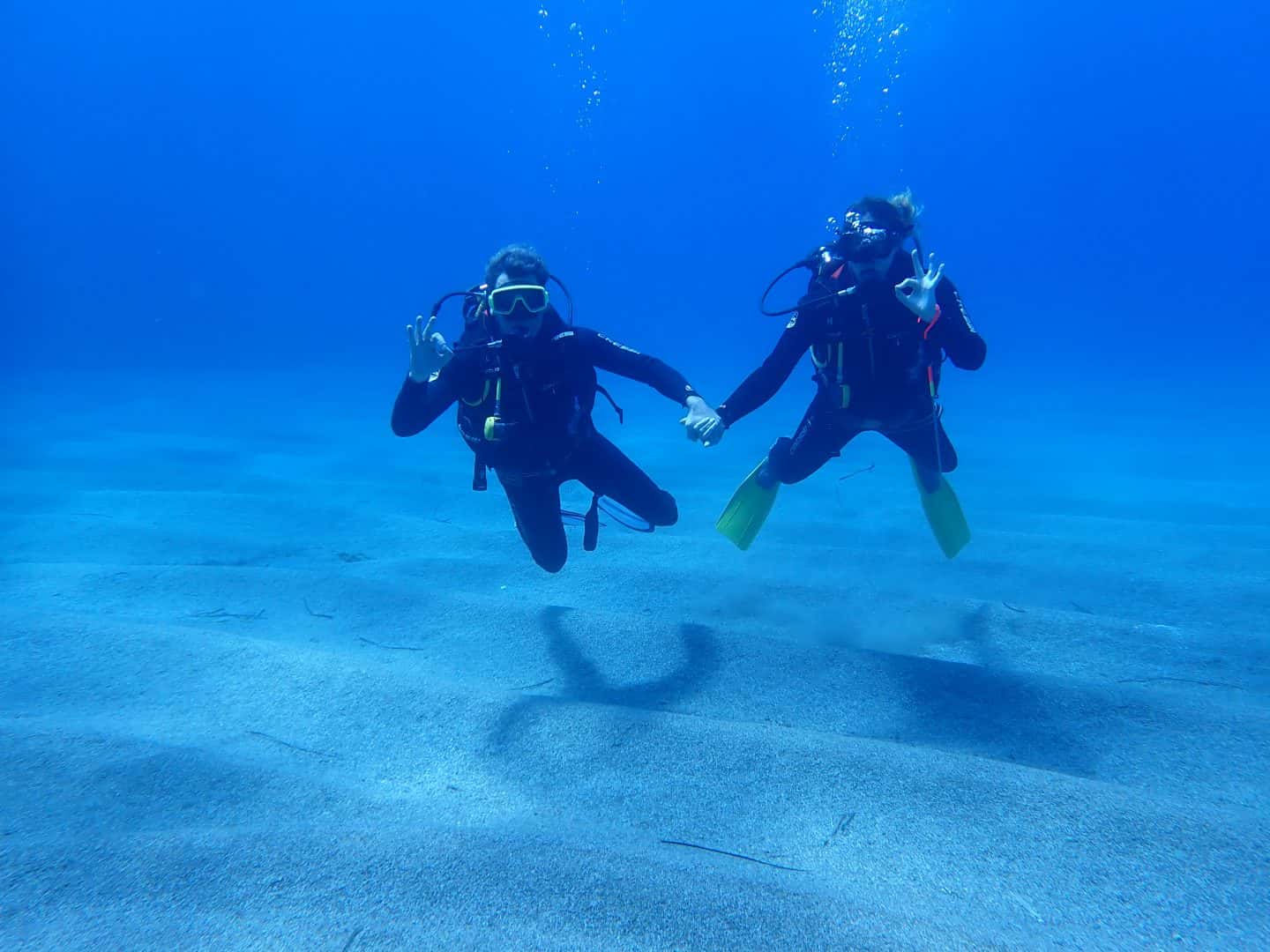 Sea Dream Diving — photo 3