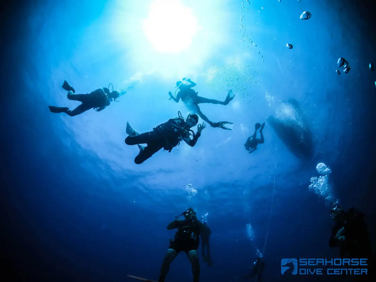 Seahorse Dive Center — photo 2