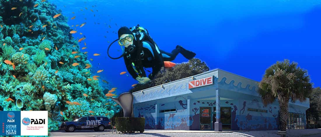 Sea Hunt Scuba — photo 1