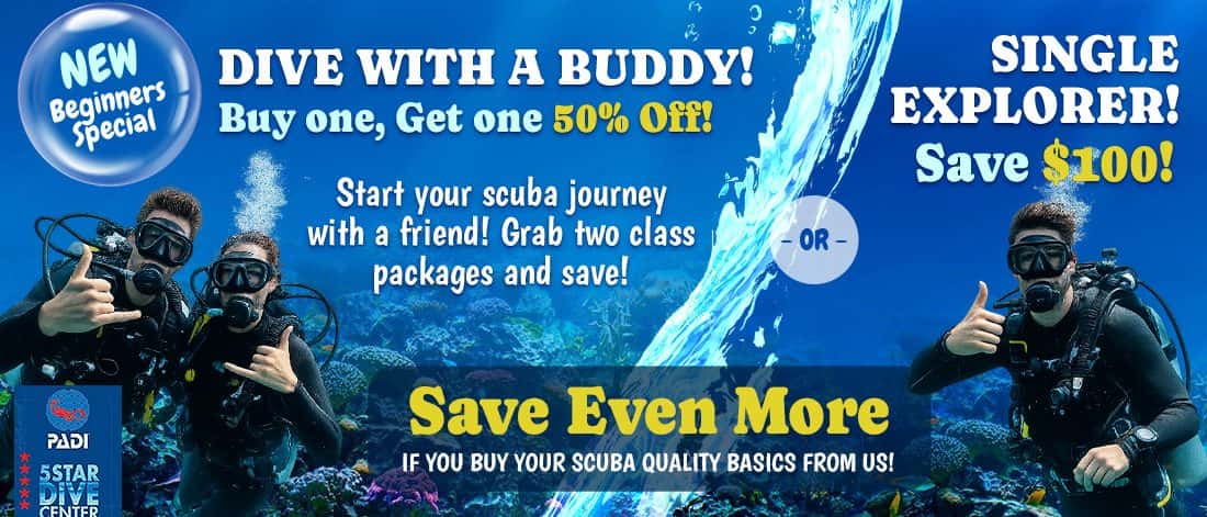 Sea Hunt Scuba — photo 2