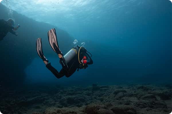 Seasport Divers