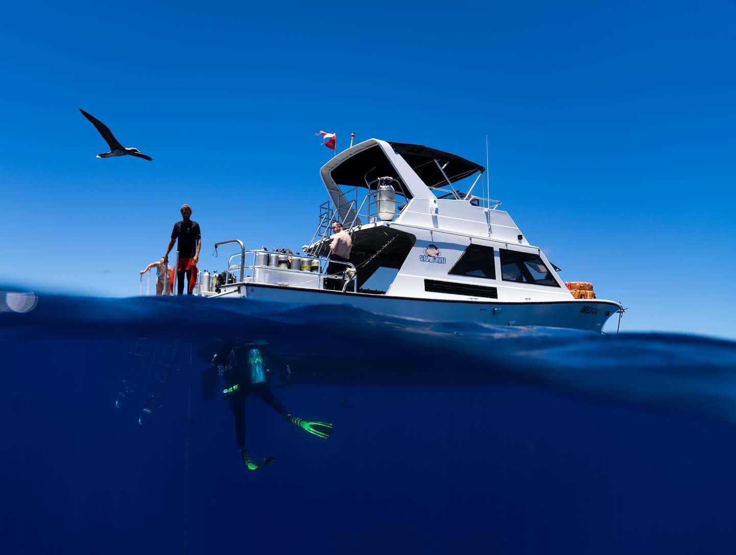 Seasport Divers — photo 2