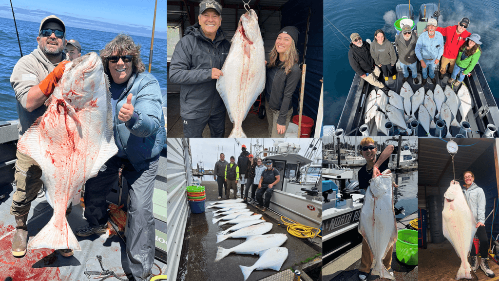 Sharky's Charter Fishing — photo 2
