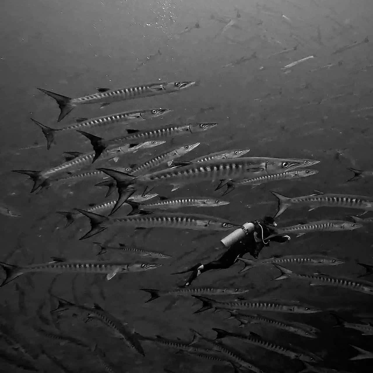 Sirenas Adventures — photo 1