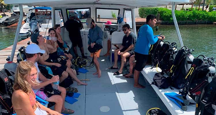 Solo Buceo — photo 2