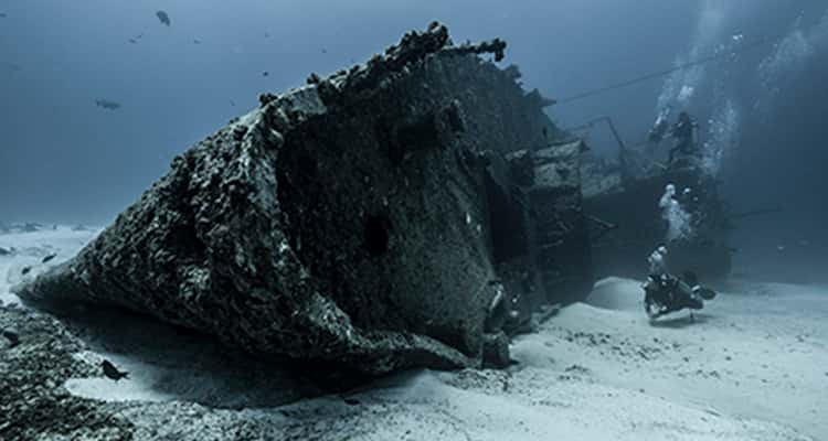 Solo Buceo — photo 4
