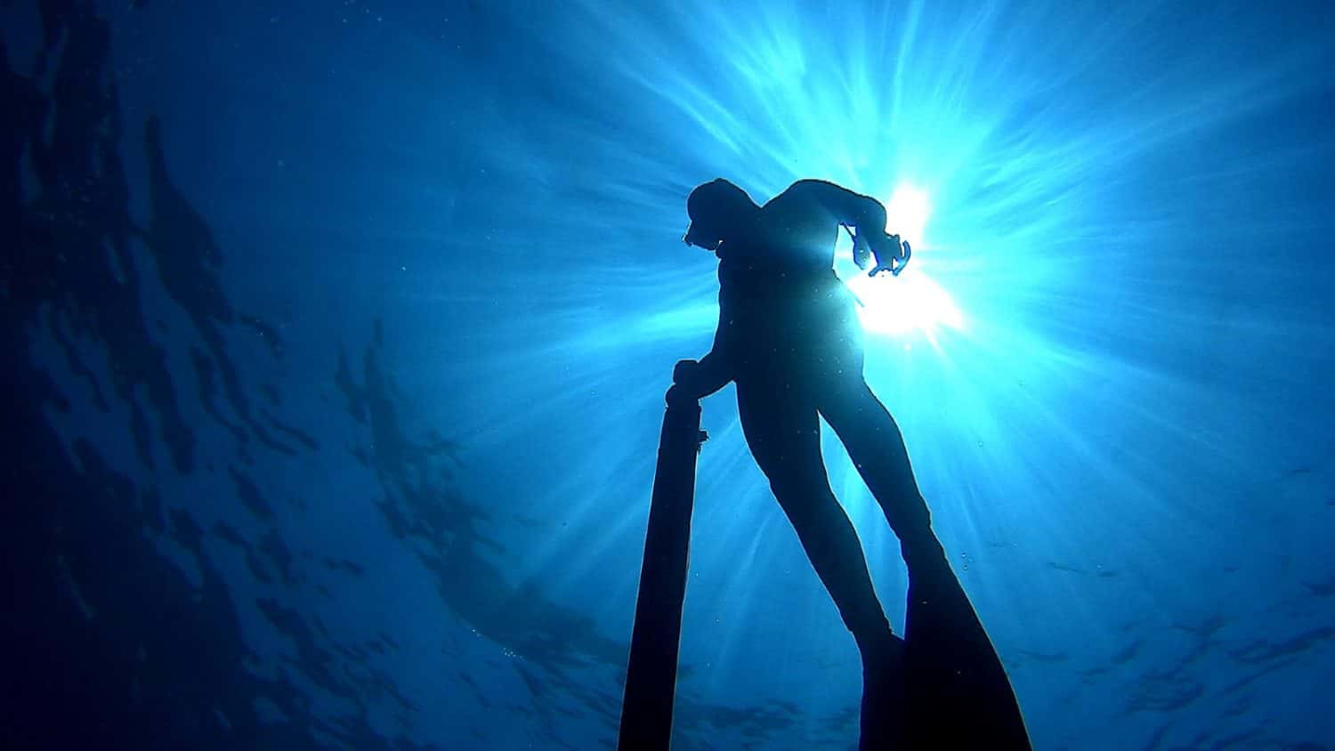 Spearfishing Life — photo 2