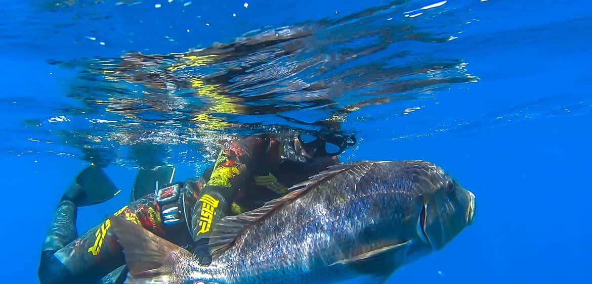 Spearfishing Life — photo 3