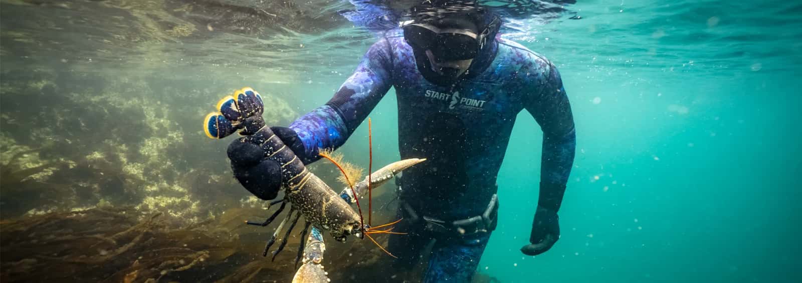 Start Point Spearfishing — photo 2