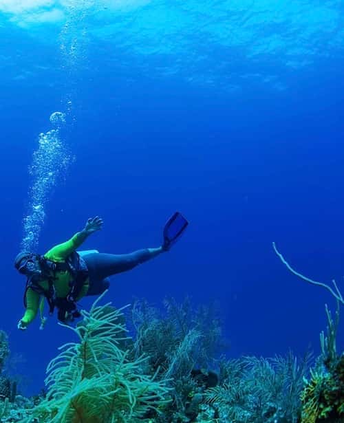 Splash Dive Center