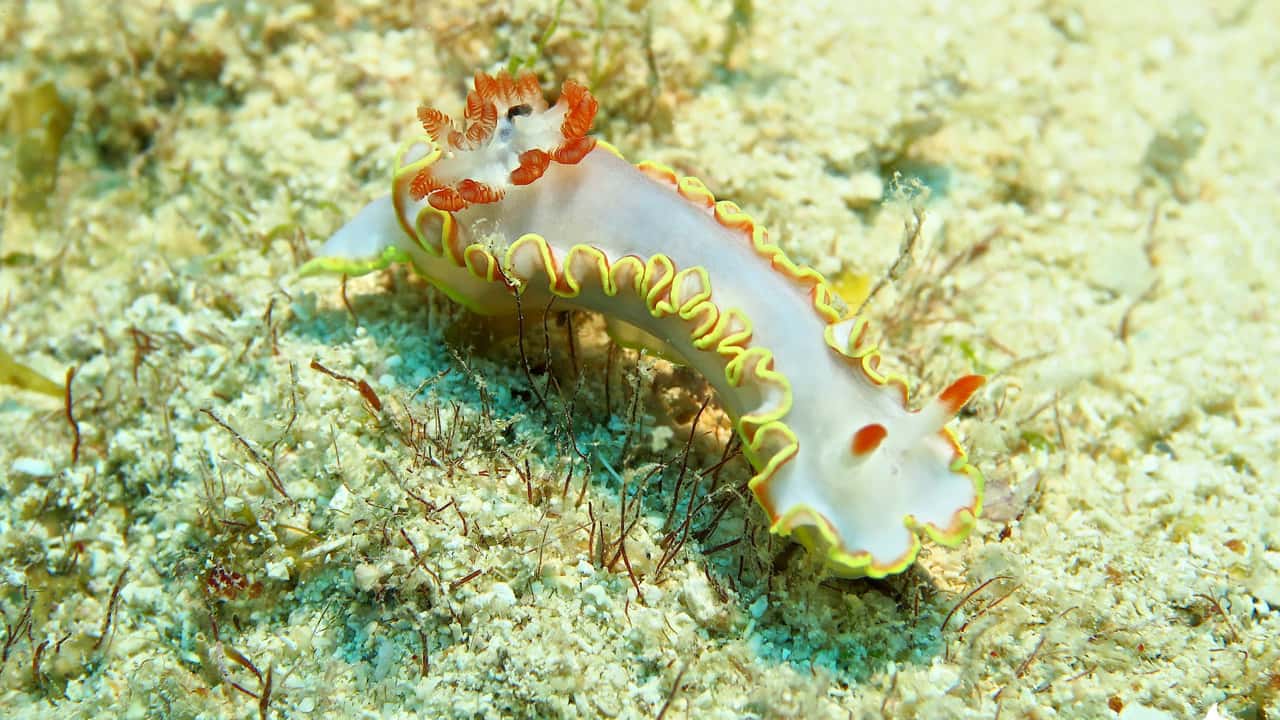 Ocean Explorers Dive Center — photo 2
