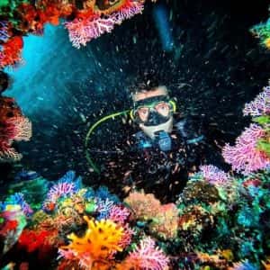Superior Dive Sosua — photo 3