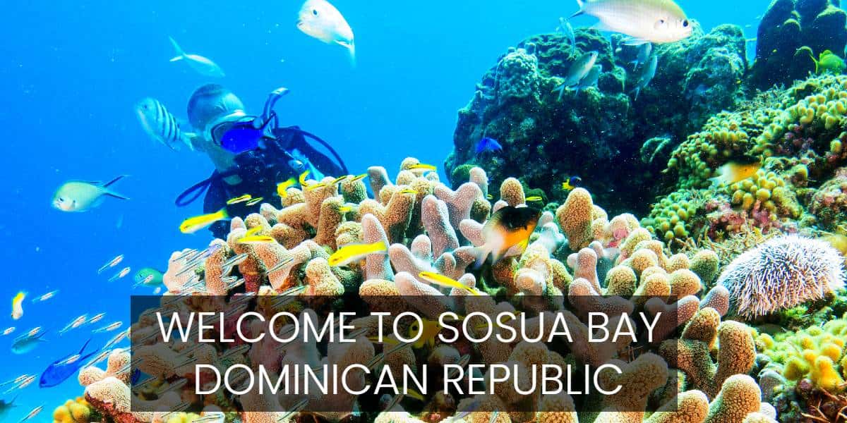 Superior Dive Sosua
