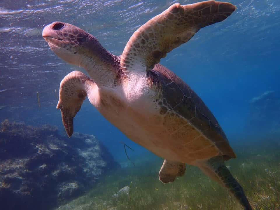 Taba Diving Centre — photo 2