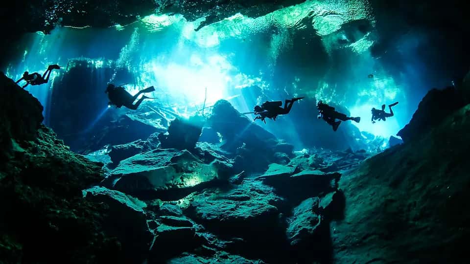 Tank-Ha Dive Center — photo 2