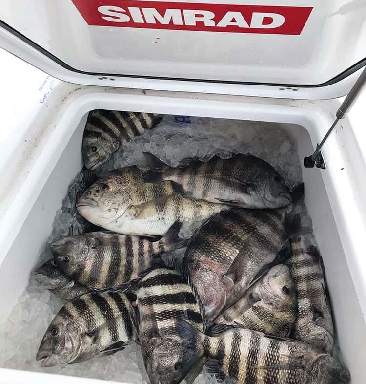 Tight Line Charters — photo 2