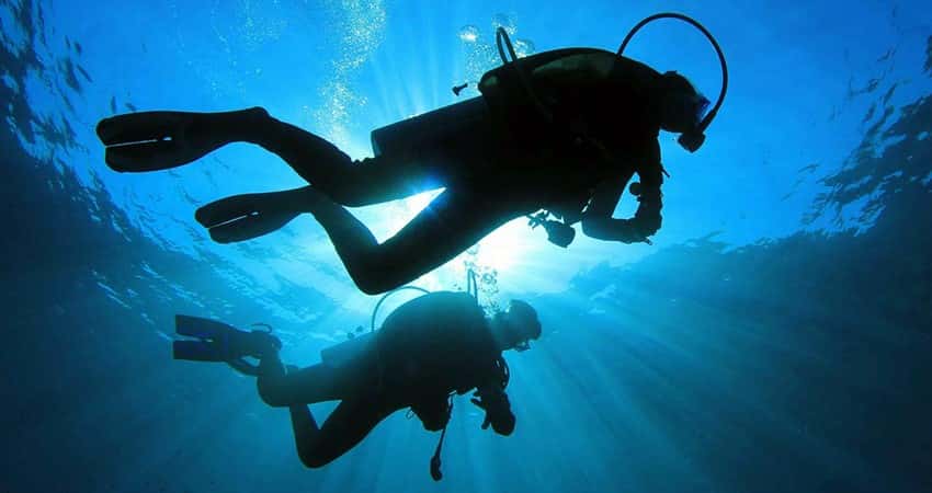Marmaris Travel — photo 2