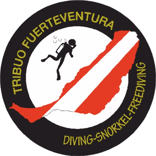 Tribuo Buceo
