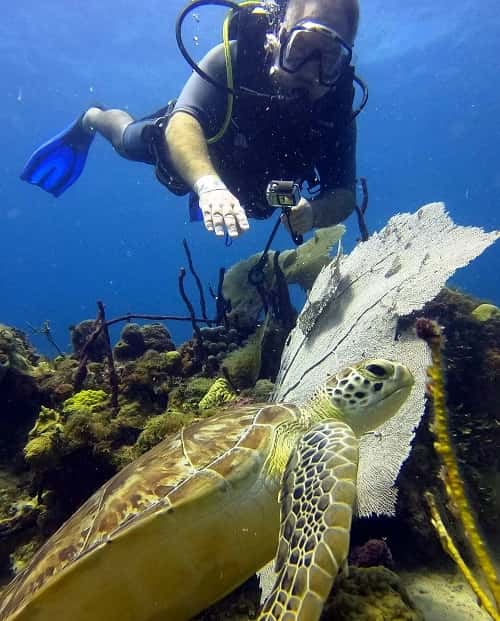 Ultra Marine Divers — photo 2