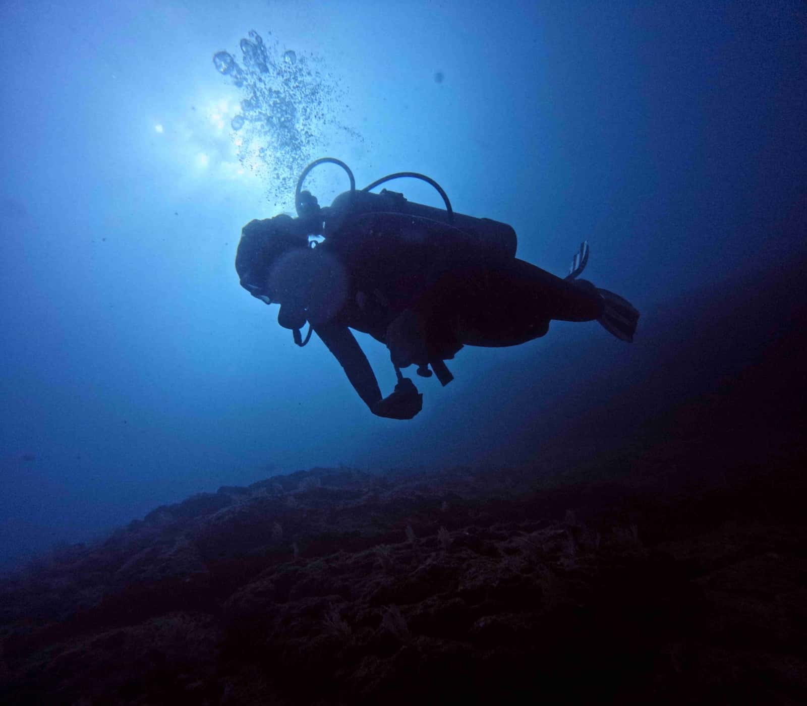 Under The Sea Diving — photo 2