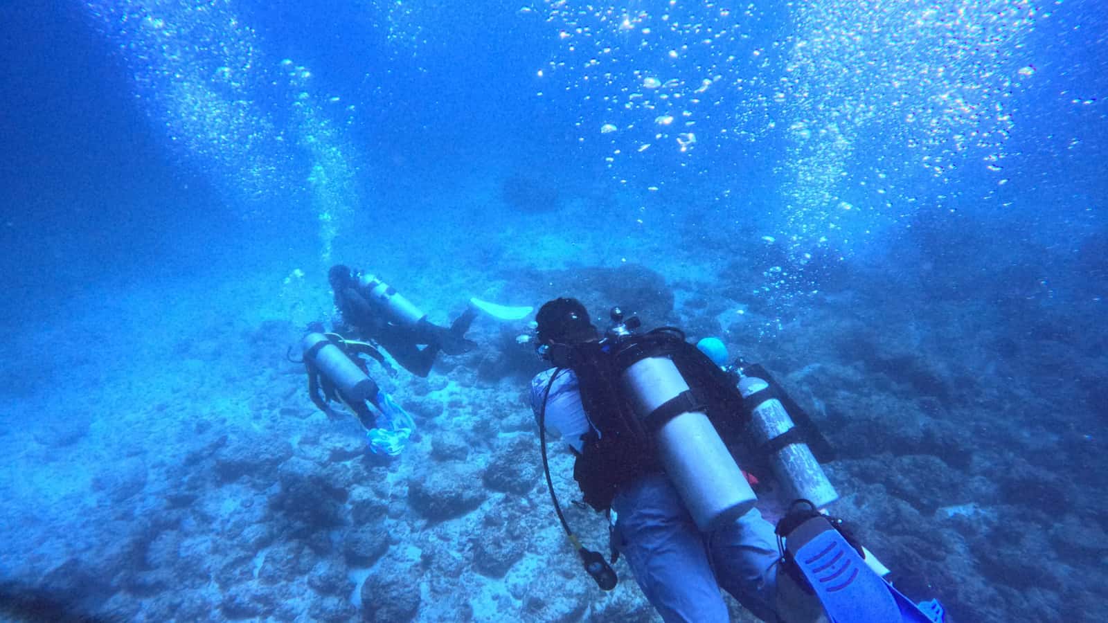 Under The Sea Diving