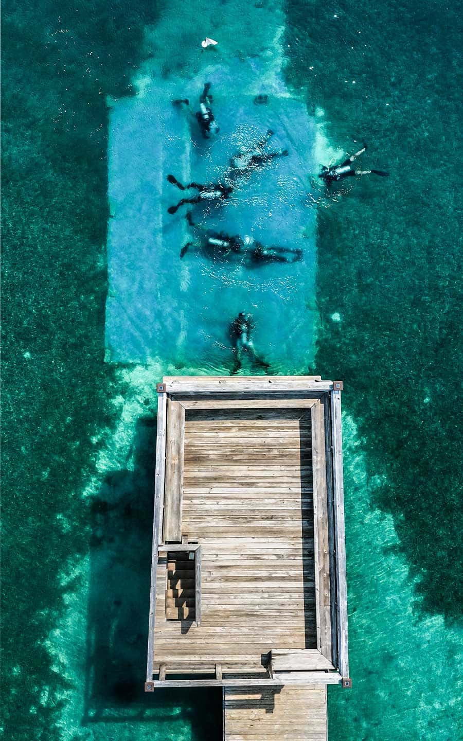 Utila Dive Center — photo 2