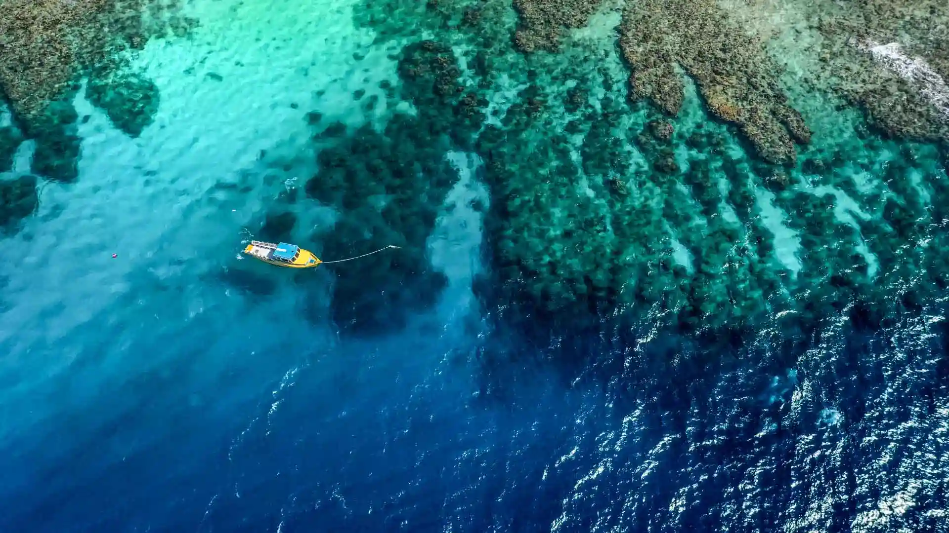 Utila Dive Center