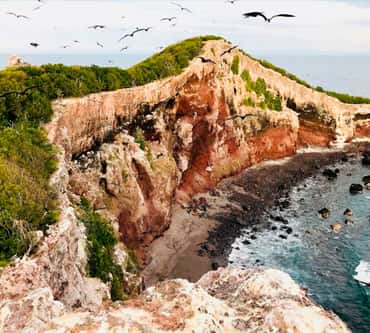 Vallarta Under Sea — photo 2