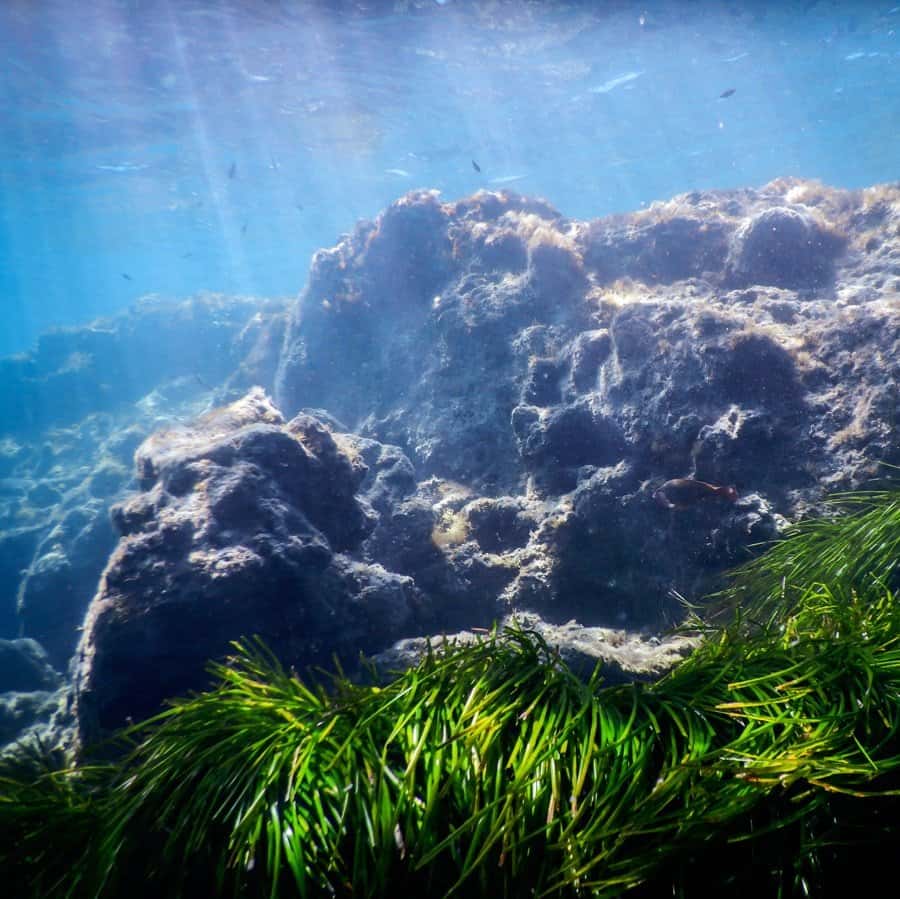 Karina Wild Fun Dive Club
