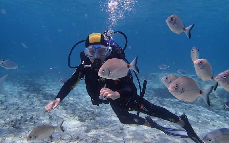 Acqua Life Dive Center — photo 4