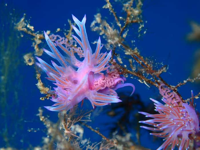 Acqua Life Dive Center — photo 2