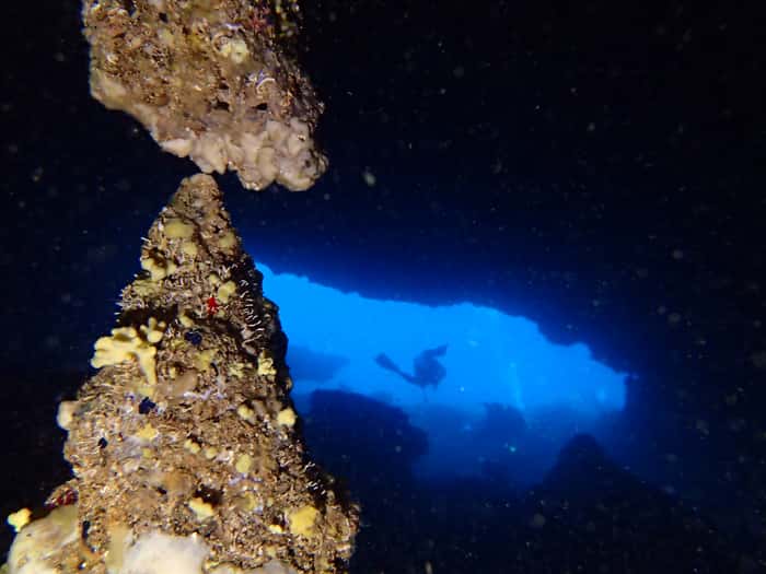Acqua Life Dive Center — photo 3