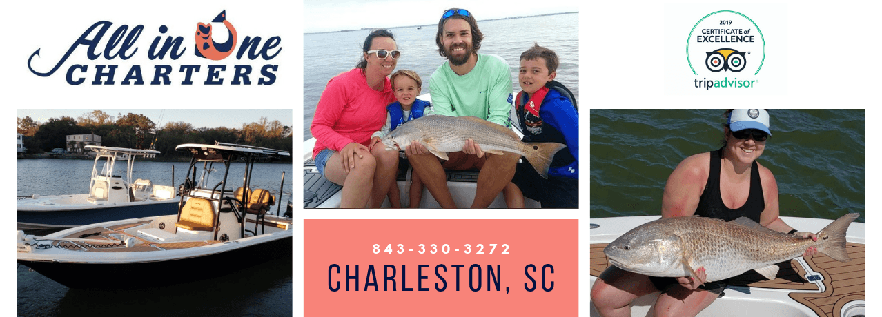 All In One Charters — photo 1