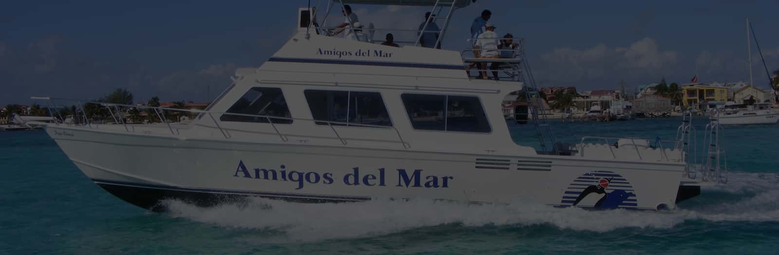 Amigos del Mar — photo 2