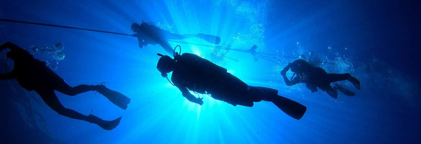Amphibious Diving Center