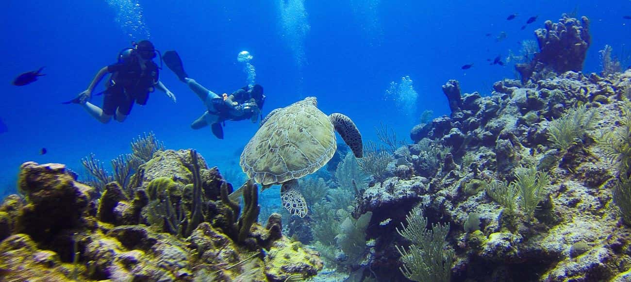 Anderson's Scuba Diving