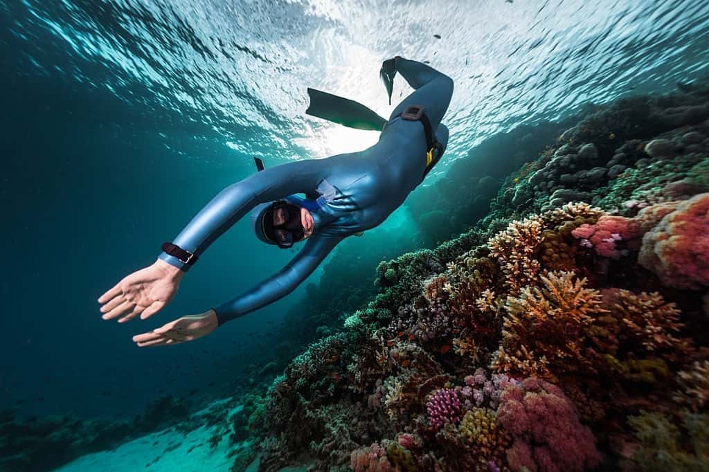 Apnea Galapagos
