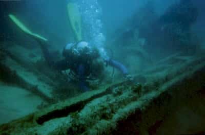Atlantis Charters — photo 1