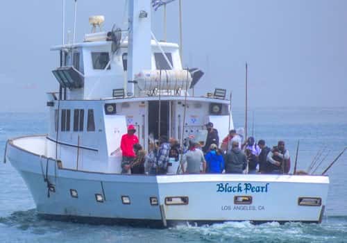 Black Pearl Sportfishing — photo 1