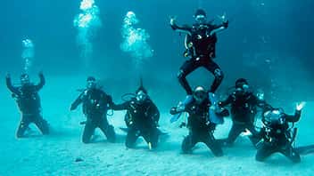 Blue Dive Experience — photo 2