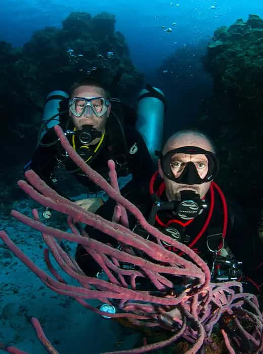 Blue Ocean Diving