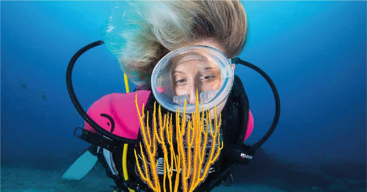 Buceo Norte