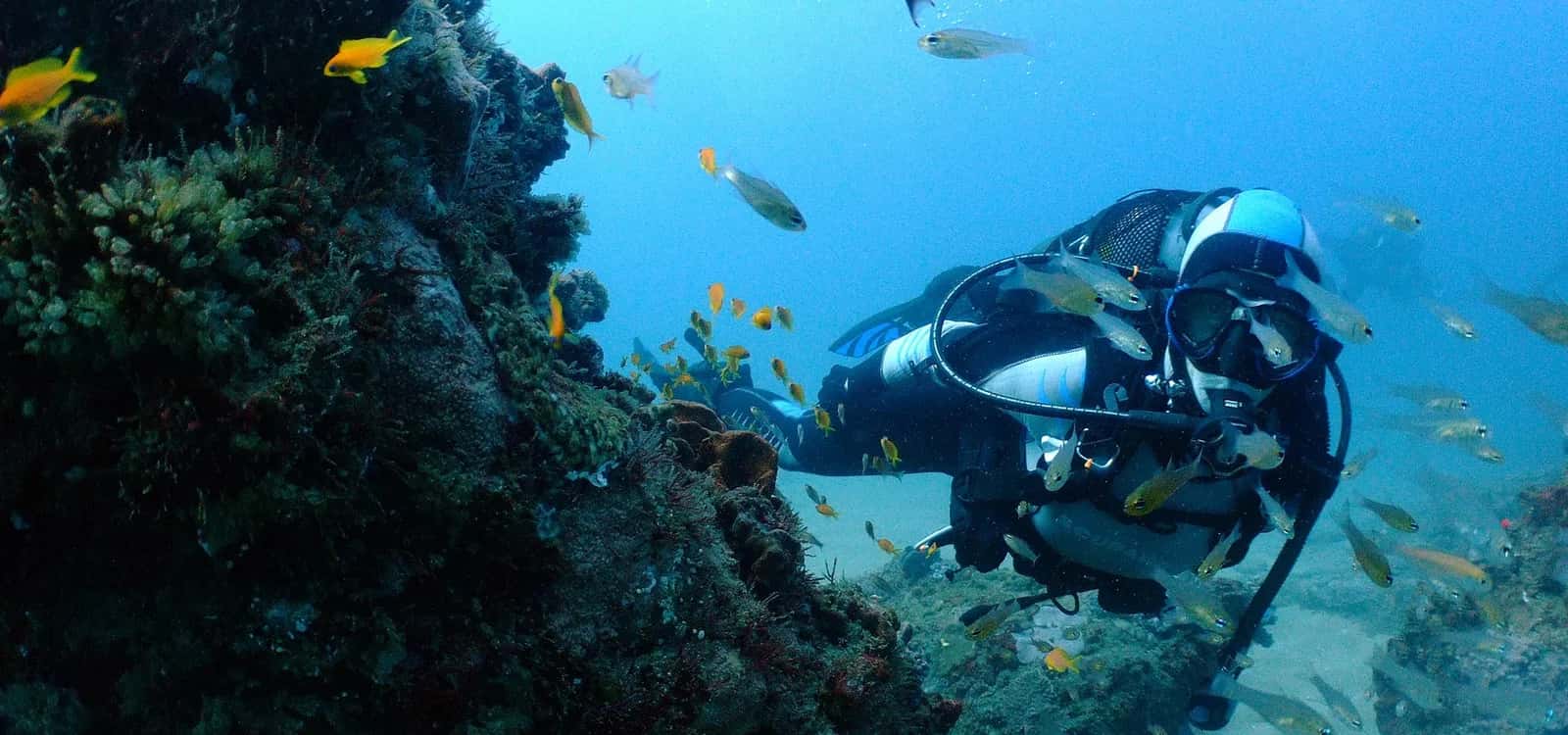 Calypso Dive Center